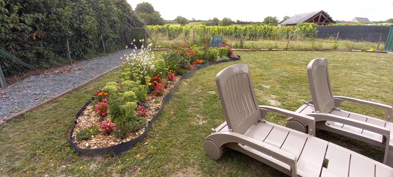 Hebergement Sarment Du Veron Chinon Villa Beaumont-en-Véron Eksteriør bilde